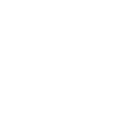 Regulatory Expertise